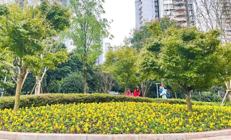 重庆北碚：以“绣花”功夫雕琢城市之美