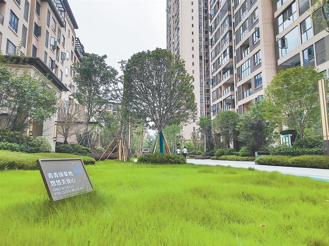 重庆荣昌：上半年新增城市绿地近29万平方米